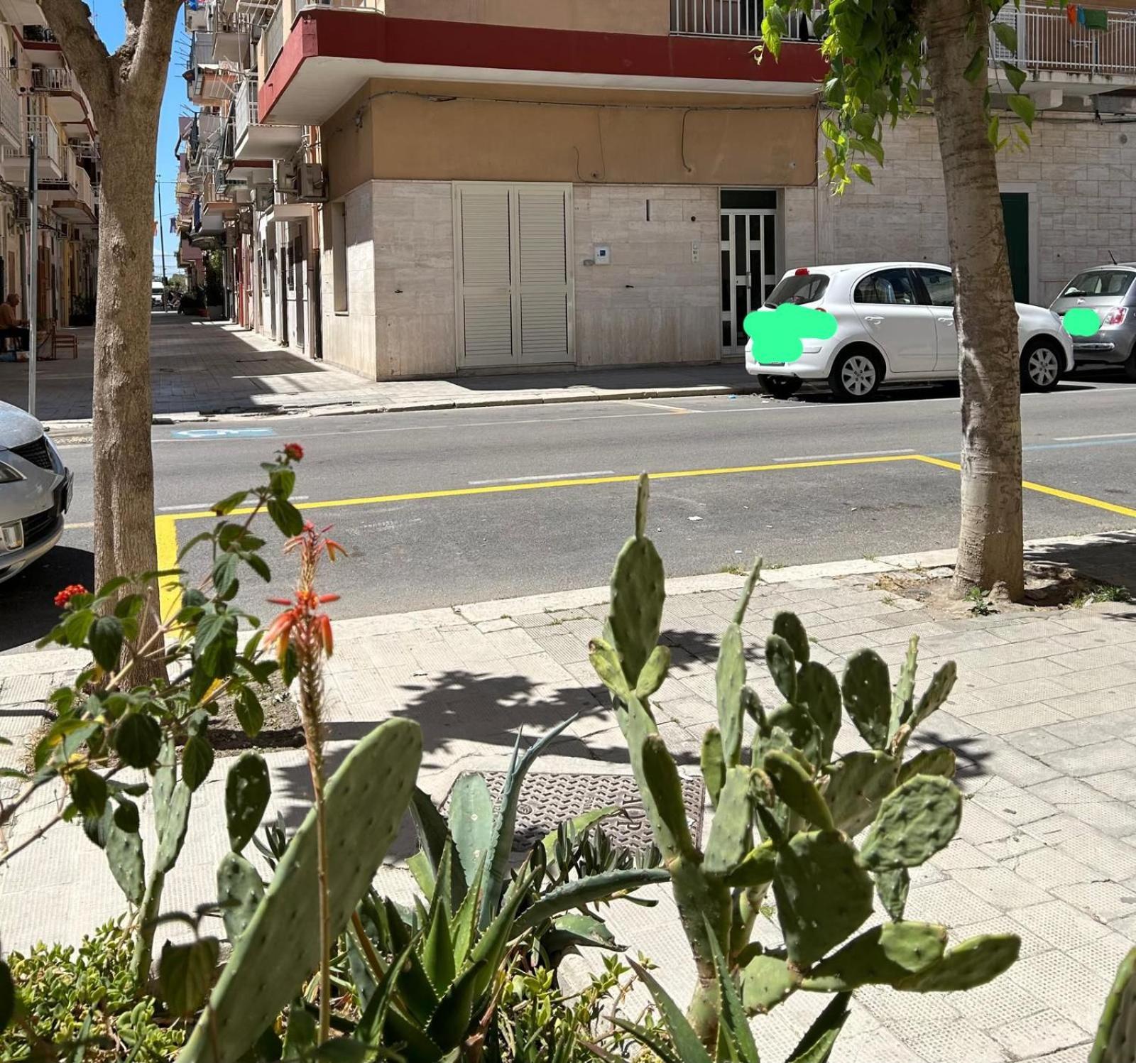 Appartamento Centralissimo Zona Terme Margherita Di Savoia Exteriör bild